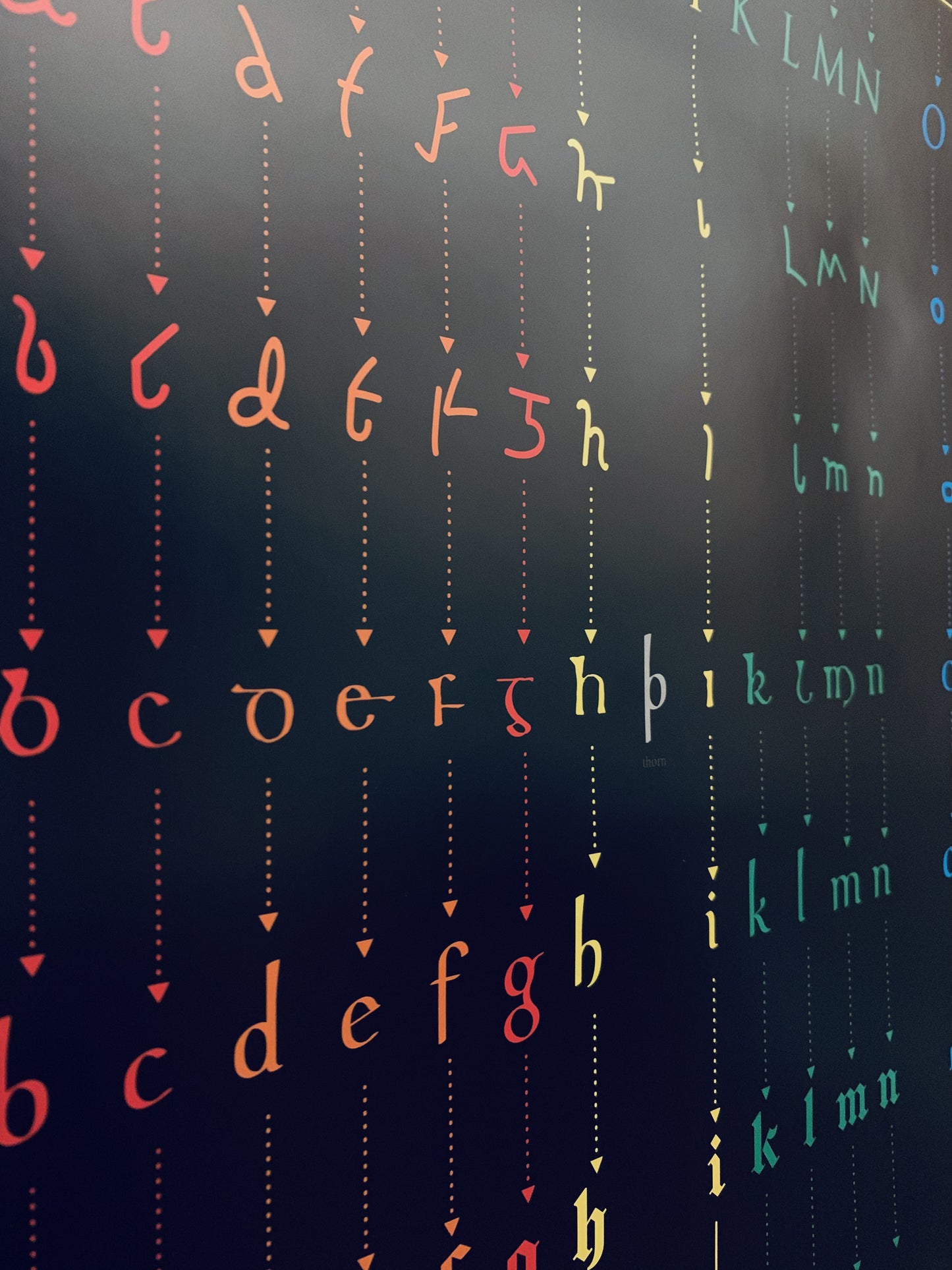 Evolution of the Alphabet Poster