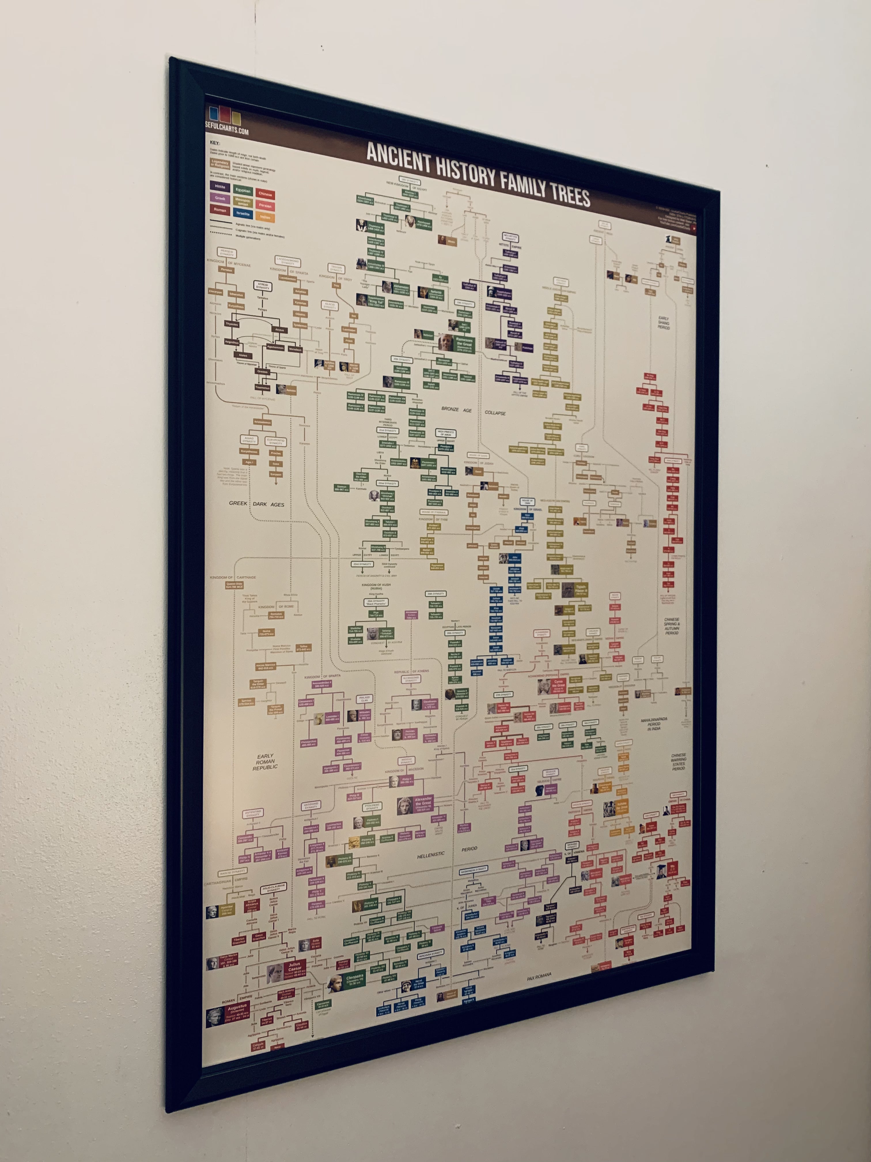 Ancient History Family Trees Poster – UsefulCharts