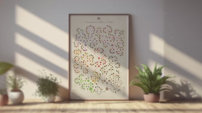 Classification of Plants & Fungi Poster